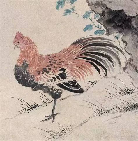 雞鳴 時間|【雞鳴 時間】雞鳴時間知多少？揭秘「聞雞起舞」的黎明奧秘